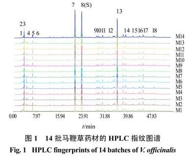 产品文献:马鞭草 HPLC 指纹图谱建立及指标性成分的测定